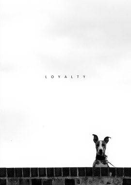 Dog Loyalty Photo