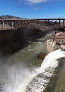 Overlooking Lower Falls Genesee River