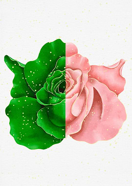Green and Pink Rose