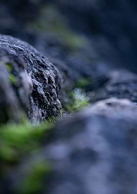 Close-up Mossy Rocks