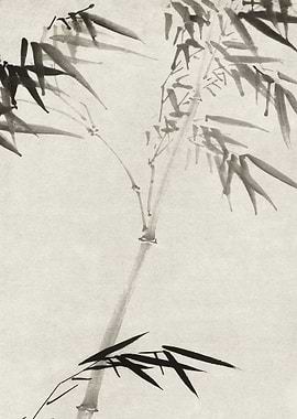Black Ink Bamboo Painting