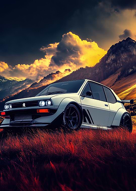 Peugeot 205 Modified