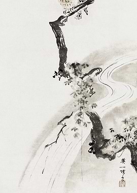 Owl on Branch with Stream