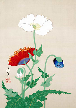 Japanese Poppy Painting