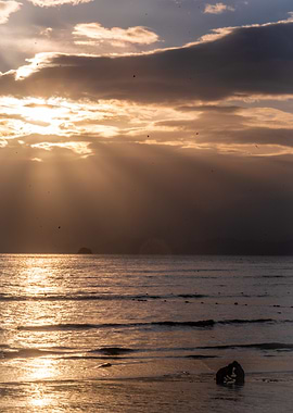 Golden Sunset Seascape