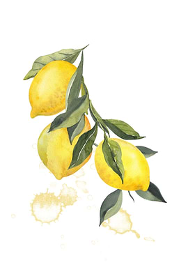 Watercolor Lemon Branch