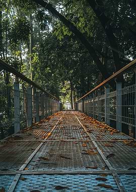 Forest Bridge Path