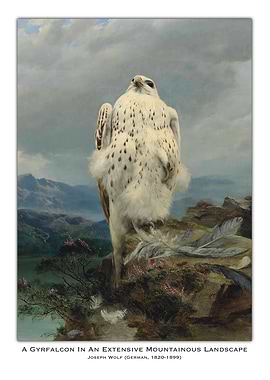 Gyrfalcon in Mountain Landscape