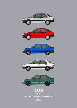 Peugeot 309 S2 classic car collection