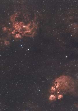 Cat's Paw and Lobster Nebulae - Cosmic Nebulae