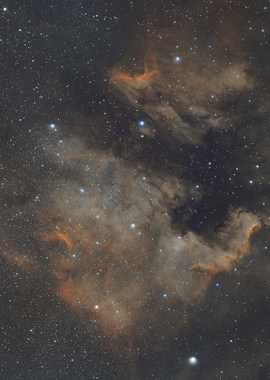 Cosmic Nebula - North America and Pelican Nebulae