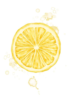 Watercolor Lemon Slice