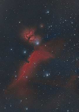 Horsedead and Flamme Nebulae - Cosmic Nebula