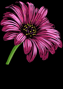 'Pink Cone-Flower' Jamie's Hand-Drawn Floral Collection
