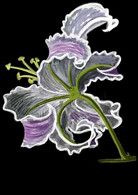 'Lily Blossom' Jamie's Hand-Drawn Floral Collection