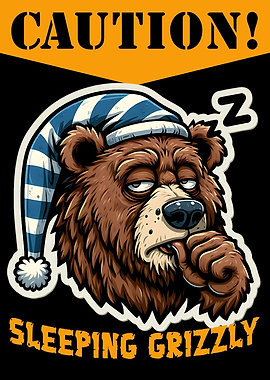 Sleeping Grizzly Warning for Bedroom Door