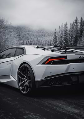 White Lamborghini in Snowy Forest