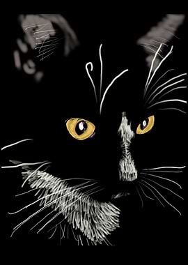 'Sister Cat' Jamie's Hand-Drawn Cat Collection