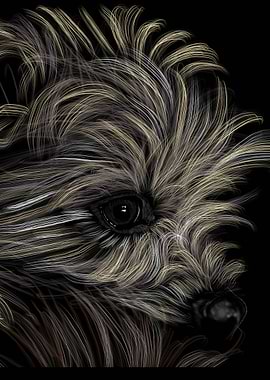 'Chewy' Jamie's Hand-Drawn Dog Collection