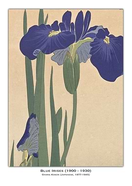 Japanese Iris Print