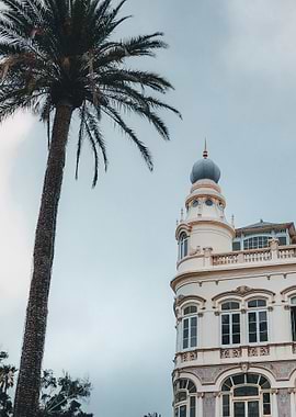 Palm Tree and Historic Building