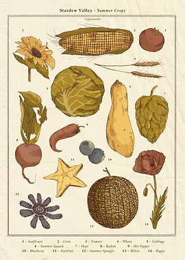 Stardew Valley Summer Crops