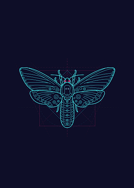 Neon Moth Illustration