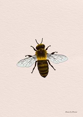 Honeybee Illustration