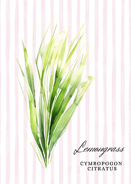 Lemongrass Watercolor Illustration | Kitchen Wall Decor