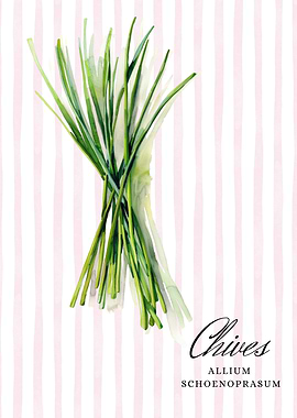 Watercolor Chives Illustration | Kitchen Wall Art Collection