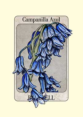 Bluebell Flower Illustration