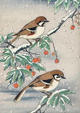 Birds in Winter Snow