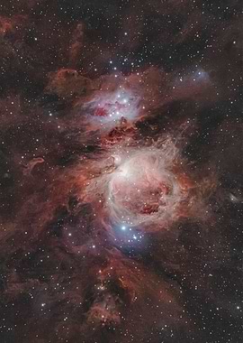 The Great Orion Nebula