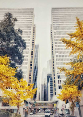 Cityscape with Golden Trees