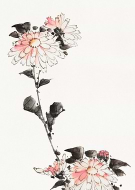 Ink Painting of Chrysanthemums