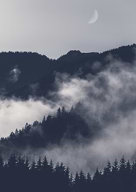 Misty Mountain Landscape