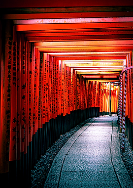 Red Torii Gates Pathway