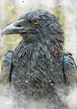 Raven Portrait