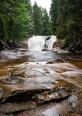 Waterfall in Forest