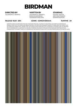 Birdman Movie Poster