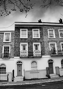 Black and White Row House