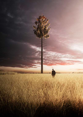 Lone Figure in Field