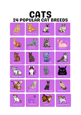 24 Popular Cat Breeds Chart