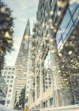 Transamerica Pyramid Reflection
