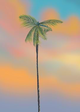 Palm Tree Sunset