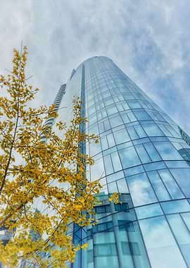 Modern Glass Skyscraper