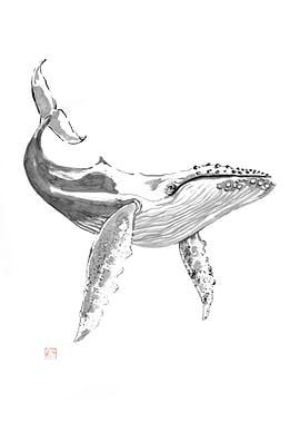 Humpback Whale Ink Drawing