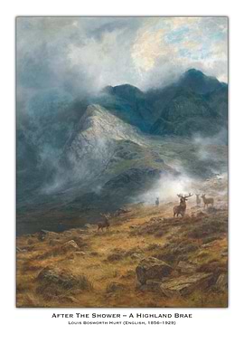 Highland Brae After Rain