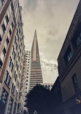 Transamerica Pyramid View