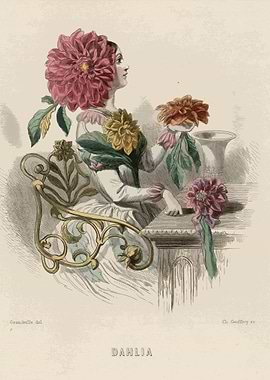 Dahlia Flower Illustration